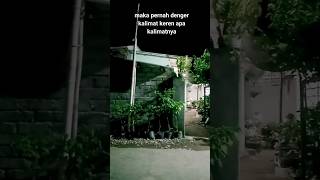 Download lagu hal terbaik adalah apa yang kamu milik #katabijak #katabijakkehidupan #katamutiara mp3