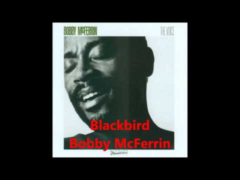 Blackbird (a cappella, Bobby McFerrin)