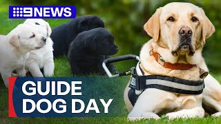 Pop-up cafe celebrates International Guide Dog Day | 9 News Australia