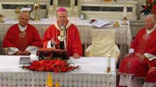preview picture of video 'Liturghia 12.06.11 2  TAINA MIRULUI Pericopa Parintelui Arhiepiscop Ioan Robu'