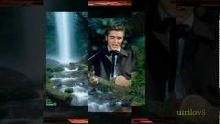 Elvis Presley - Singing Tree (With Lyrics)