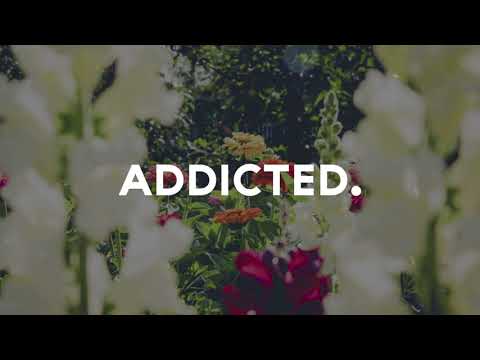 Phauler X Ofelija & Andrew Broze - Havana