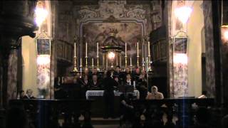 preview picture of video 'Schola Regina Pacis - Sicut Cervus (G. P. Da Palestrina)'