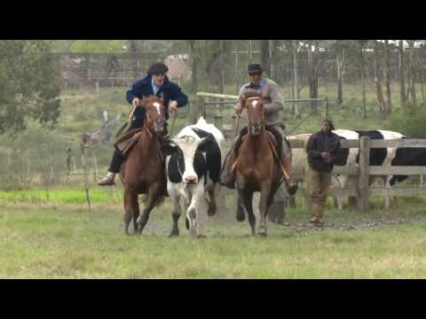 Lote 06 - Las Callanas Indiada