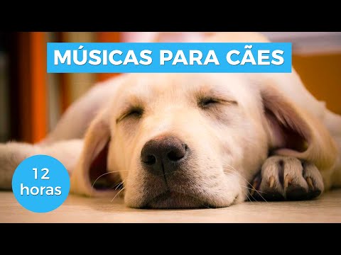 12 HOURS - DOG MUSIC FOR RELAXATION AND SEPARATION ANXIETY