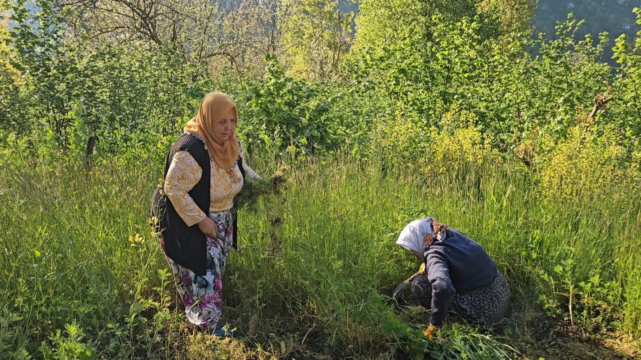 ‼️CEMİLE ABUMLA ÇAYIR BİÇTİK ‼️