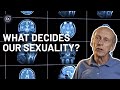 Can Science Explain Our Sexual Orientation Experts Explain