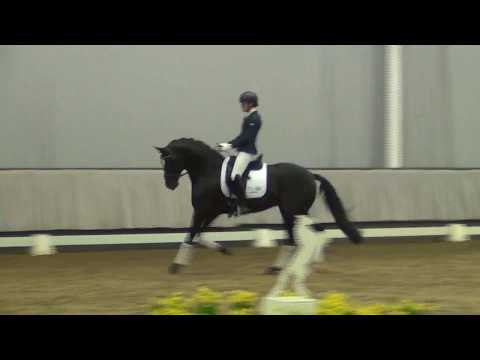 FASHION IN BLACK & Johanna Klippert - Hengstgala Münster-Handorf 06.04.2019