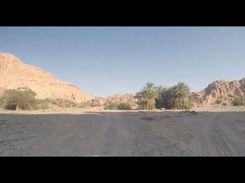 Is this Elim Where the Israelites Camped?