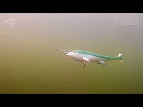 Eastfield Wingman & The System.....Sportfiskeprylar & Pikecraft Fishing