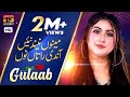 Menu Neend Na Aandi Gulaab New Saraiki Song 2020 TP Gold