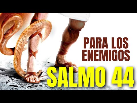 SALMO 44: Aleja a tus adversarios para siempre con el poder del salmo 44