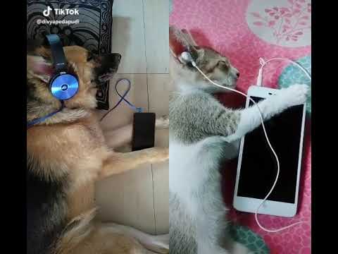 @srujan lucky Tik Tok(9)