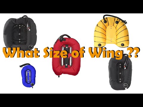 What Size Wing do I need?