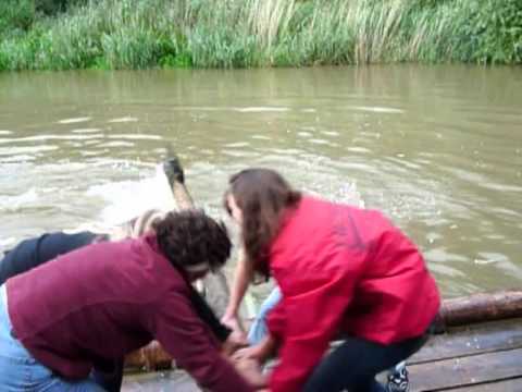 Die 360° Wende - Elle'ments der Tanzsportabteilung des KSV Klein-Karben