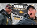 Perch Pro 2018 - EPISODE 2 - with French, German & Russian subtitles
