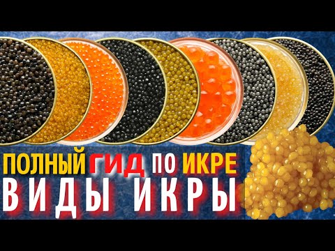 , title : 'Полный Гид по Икре | Самая Вкусная Красная и Черная Икра'