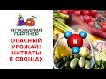 ОПАСНЫЙ УРОЖАЙ НИТРАТЫ В ОВОЩАХ