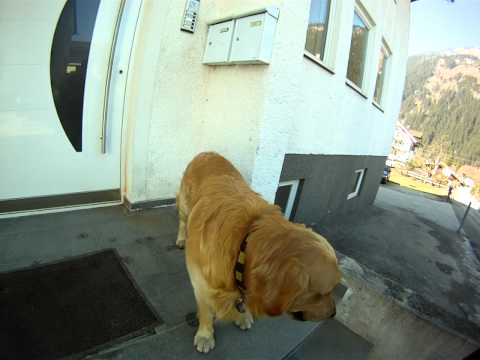 Nico / Hotel Edenlehen / Mayrhofen