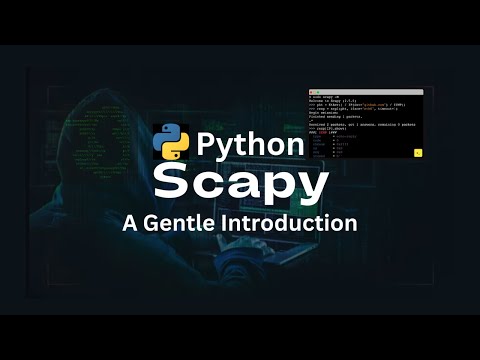 Python Scapy 101 Ping Icmp