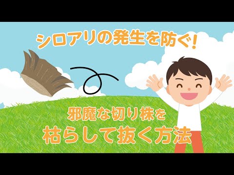 木の切り株を取り除く: 最良の方法の概要 トピックス