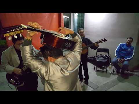 Tardes De Bohemia/Trio - Solo Requinto/Rodolfo Martinez