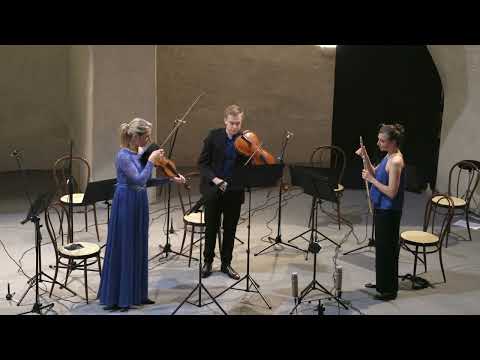 Max Reger: Serenade for flute, violin and viola Op. 141a (live, Ensemble Desiderio)