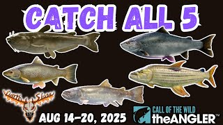 All 5 Legendary Fish THIS WEEK in Call of the Wild: The Angler!