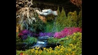 SNAP  Dance Disco Snap Nature Radio Edit 1994