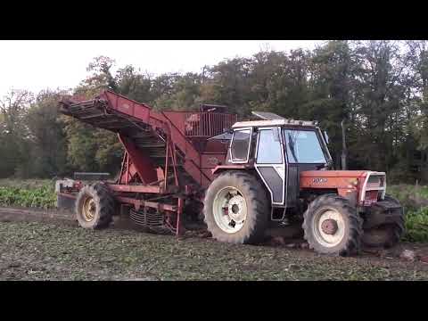 Landb. Silverans - Humbeek - Fiat 1000 S - Fiat 1000 Super - Landini 14500 - New Holland M160 - WKM