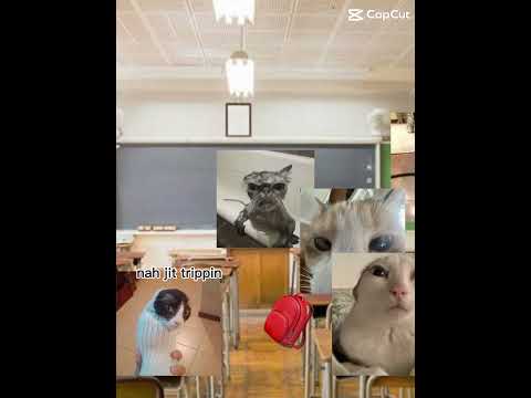 I don’t now why I made this😂