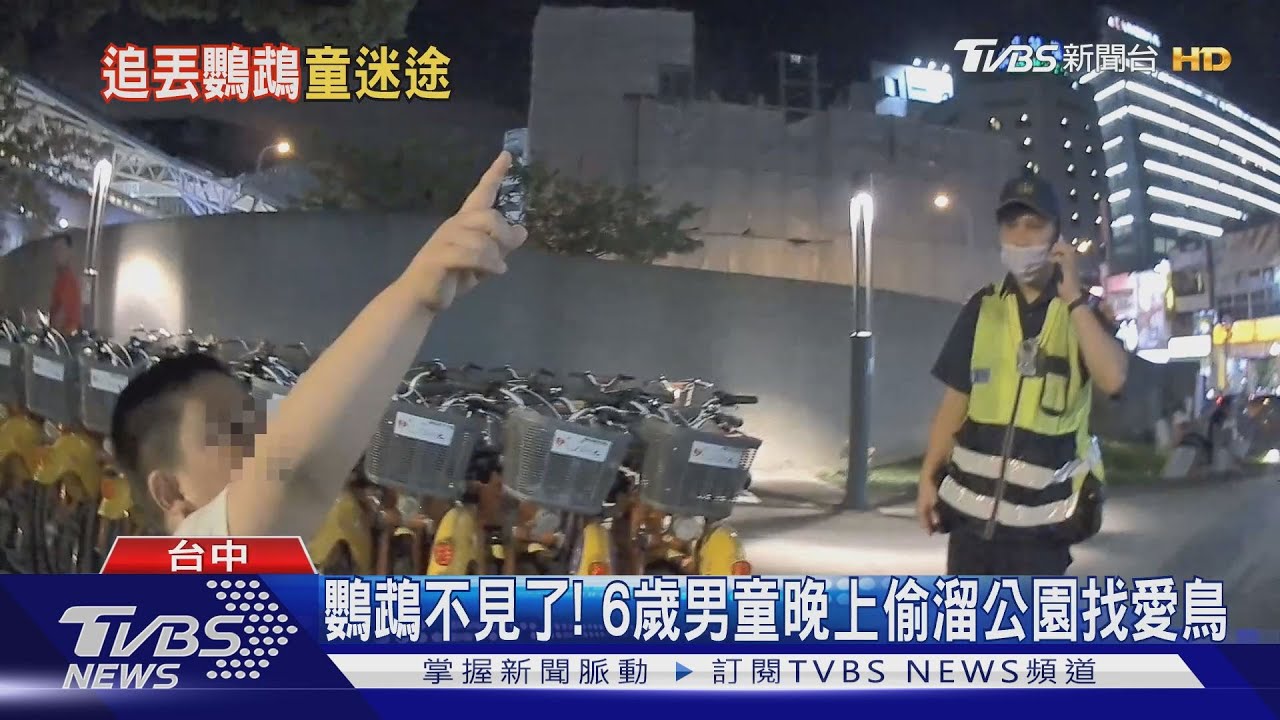 鸚鵡不見了! 6歲男童晚上偷溜公園找愛鳥