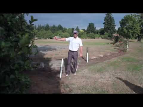 OOB Stake interfering with your swing or lie – Golf Rules