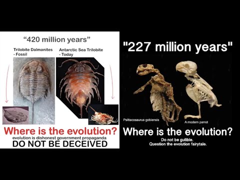 The Harun Yahya Tactic