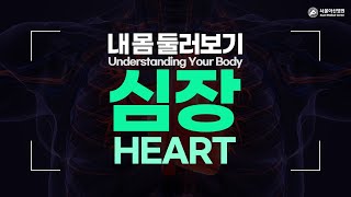 심장 미리보기 썸네일