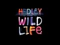 Hedley Parade Rain (Wild Life) 