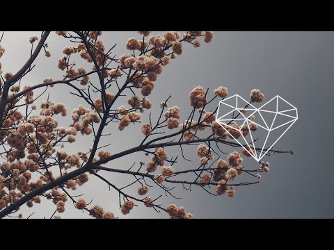 Dilby - Fade From View (Mik Kartl Remix) [Deep House / Hidden Vibes]