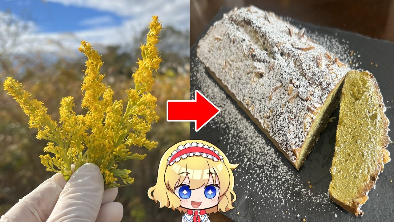 【ゆっくり実況】そこら辺に咲いてる花でケーキ作ってみた【ゆっくり料理】【ゆっくり解説】