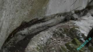 several species of small furry animals gathered together in a cave and grooving with a pict