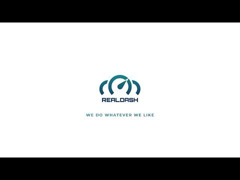 RealDash Video