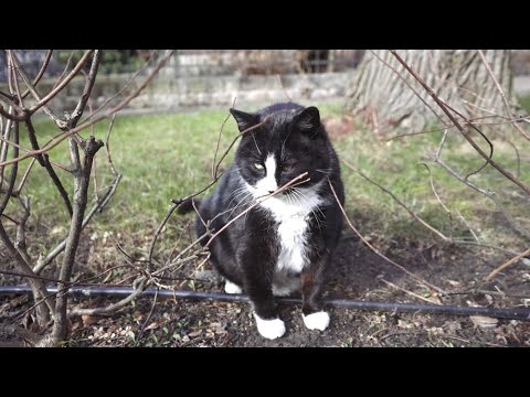 Odwiedzamy kota Gacka (marzec 2023)