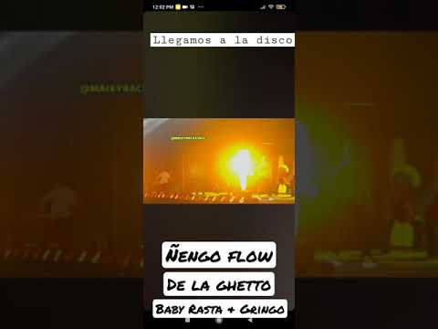 Ñengo Flow, De la ghetto, Baby Rasta & Gringo - Llegamos a la disco (en vivo, Puerto Rico)