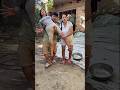 Faded Song Disable Family Disabledlife Shorts