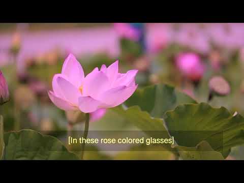 Wendy Lucas & Eric Matthys - Rose Colored Glasses (Lyric Video)