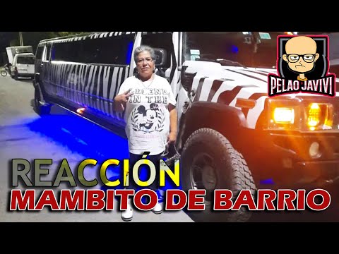 REACCIONANDO a La FixaPilar - Mambito de Barrio