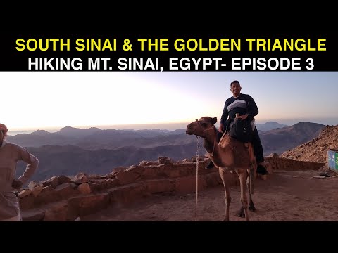 HIKING MOUNT SINAI | BREATHTAKING SUNRISE | SOUTH SINAI & THE GOLDEN TRIANGLE SERIES | EPISODE 3