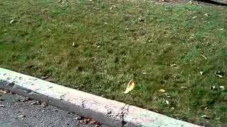 Its a beautiful thing.