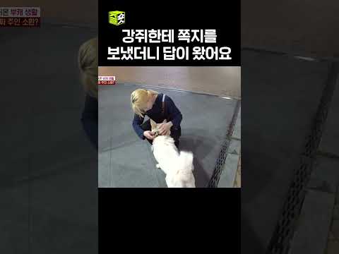 강아지 이름과 주인이 알고싶어요 #달리 #DALI