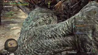(声あり) モンスターハンターワイルズ　PS5　コメント歓迎です