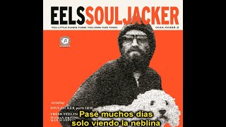 Eels - World of Shit (Subtitulada en Español)